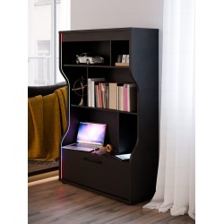 Lentyna PTT2-BP PYSR311B-Z13 pastatoma NAUJIENA