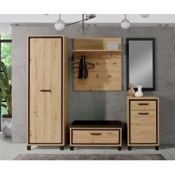 Prieškambario sistema TRNDH2 208 - TEIRAUTIS